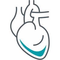 Ein Symbolbild für die Fachrichtung Kardiologie